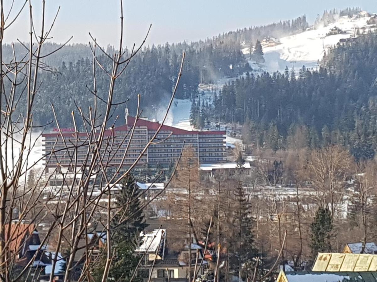 Pensjonat u Barbary i Jacka Zakopane Bagian luar foto